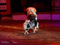 Circus YAKARI Show am 04.10.2024